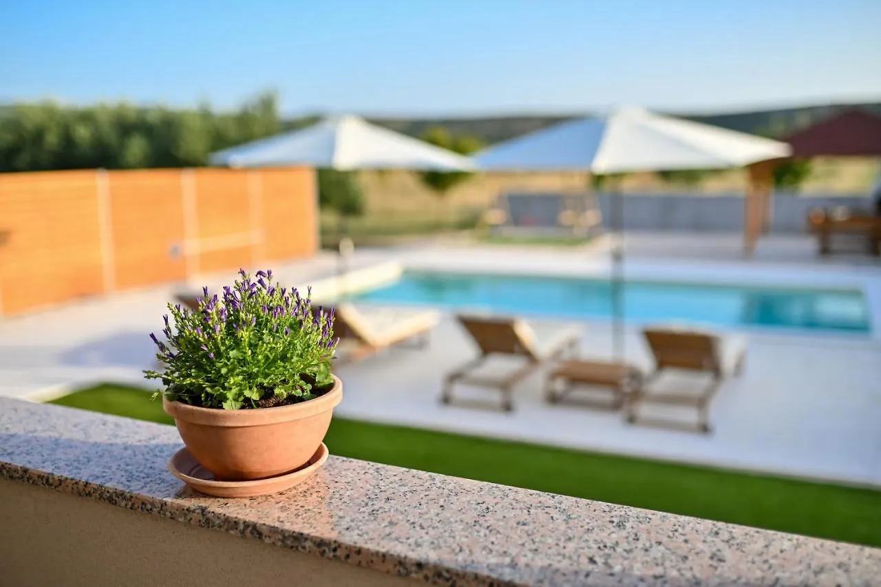 Family Friendly House With A Swimming Pool Vrana, Biograd - 21828 Villa Pakostane Croatia